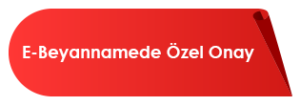 E-Beyannamede Özel Onay